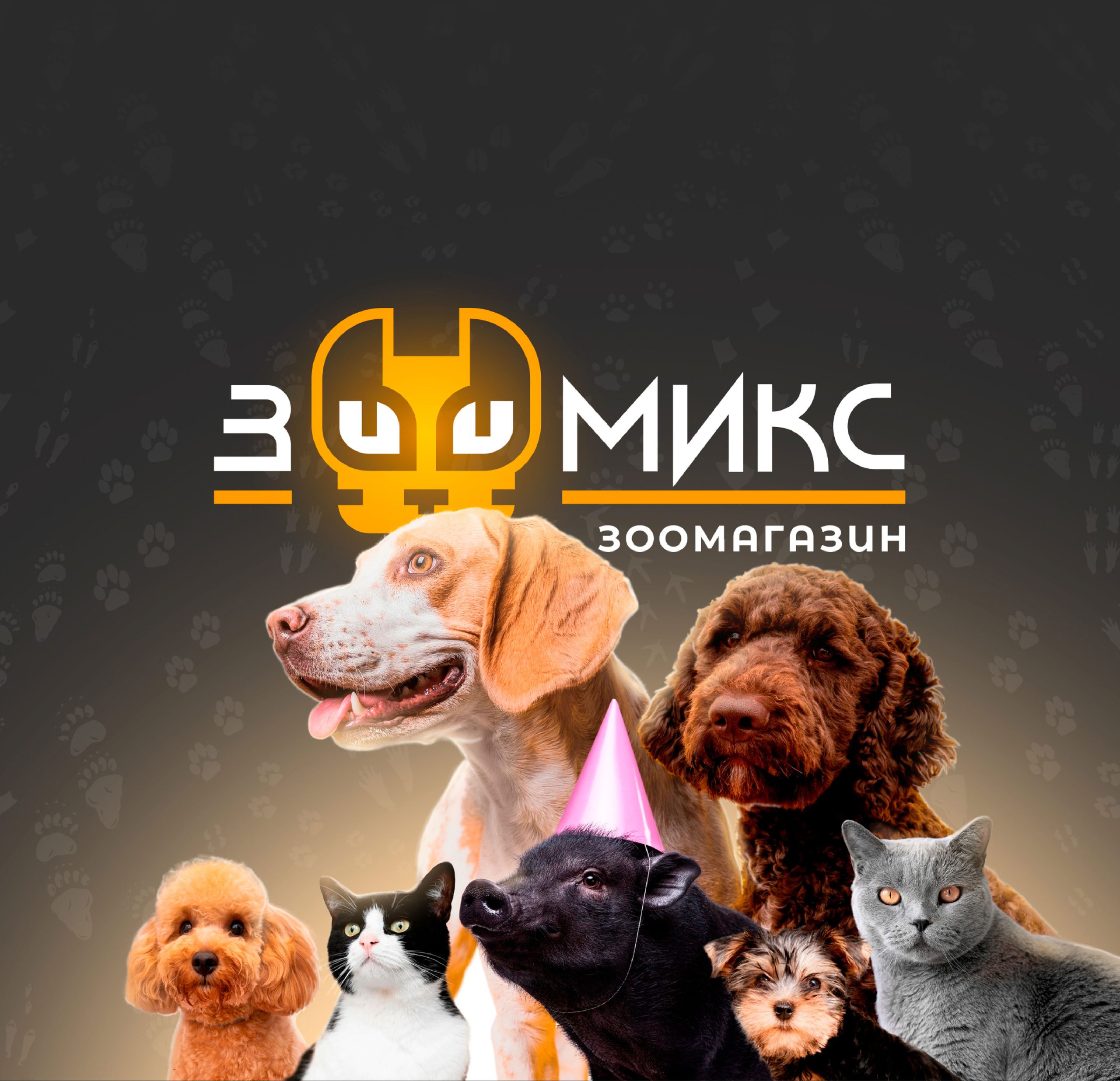 ЗООМИКС - зоомагазин, zooshop, pets shop (логотип, зоомагазин)